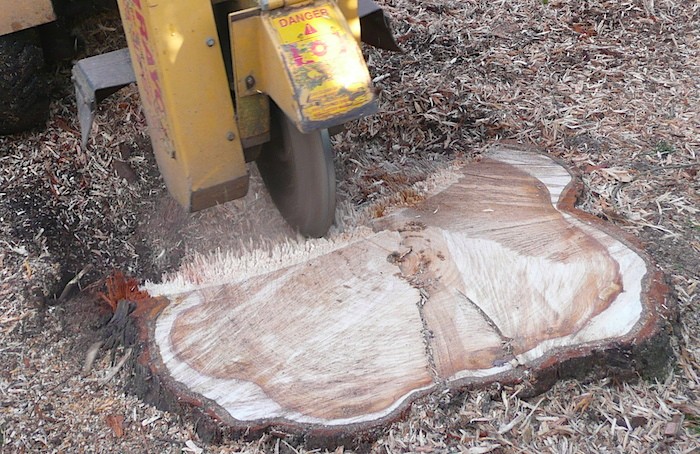 Stump removal in Peoria County